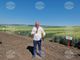 Зърнопроизводители в Разградско очакват добра реколта от ечемик и пшеница