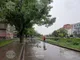 Над област Разград преминава гръмотевична буря с проливни дъждове
