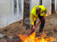 Овладян е големият пожар в Елховско, който обхвана близо 5000 дка