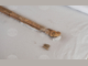 Уникален скитски скиптър на 2500 години открит при разкопки край Провадия /галерия/