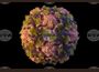 Полиовирус е открит в отпадъчните води в Ню Йорк