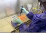 Новите потвърдени случаи на коронавирус у нас за последното денонощие са 1189