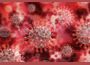 Новите случаи с коронавирус за последните 24 часа са 163; починали са 6 души с диагноза Ковид-19