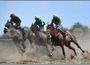 Турнир по конен спорт ще се състои на Тодоровден край ямболското село Кабиле