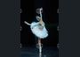 Русенската опера ще представи "Лебедово езеро" по повод Международния ден на балета